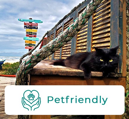 Pet Friendly