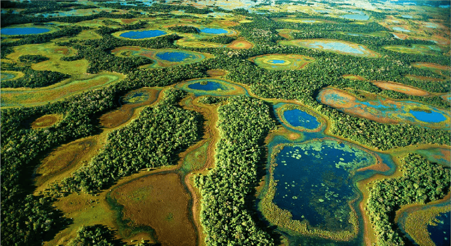 Pantanal