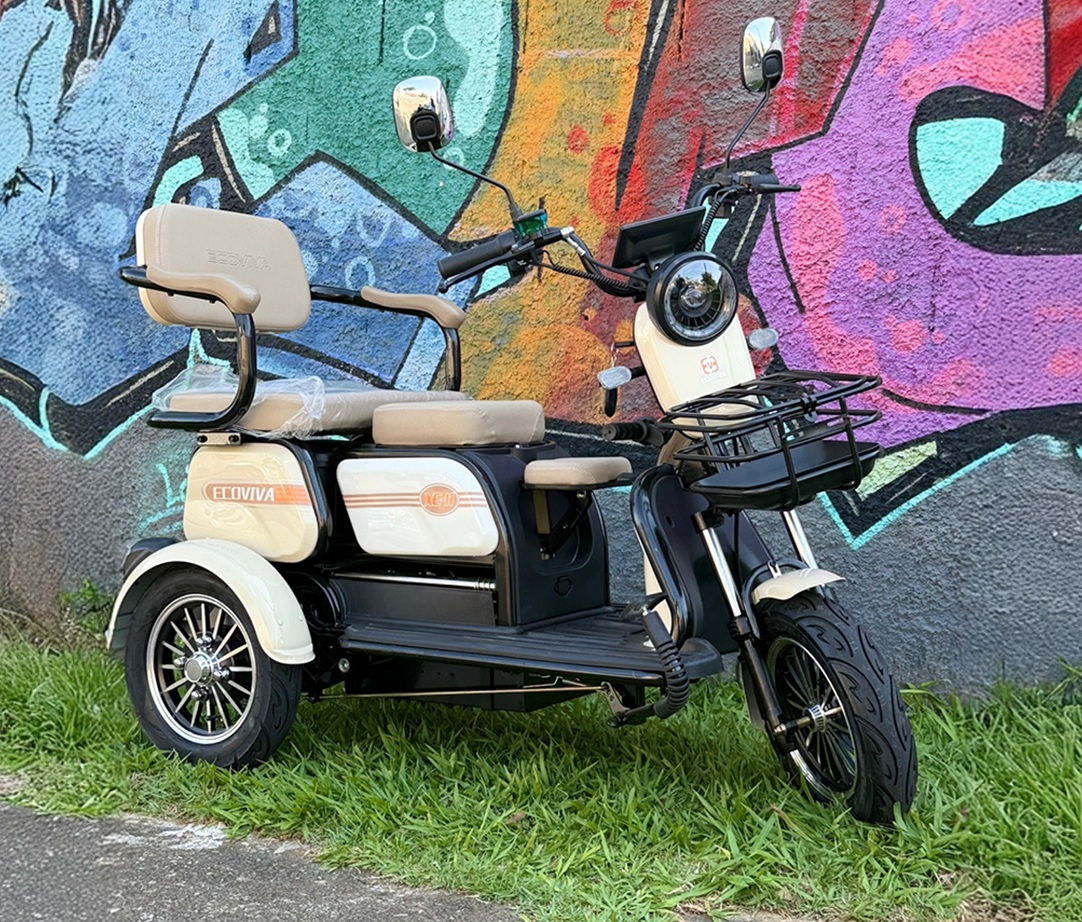 Triciclo Elétrico 1000w