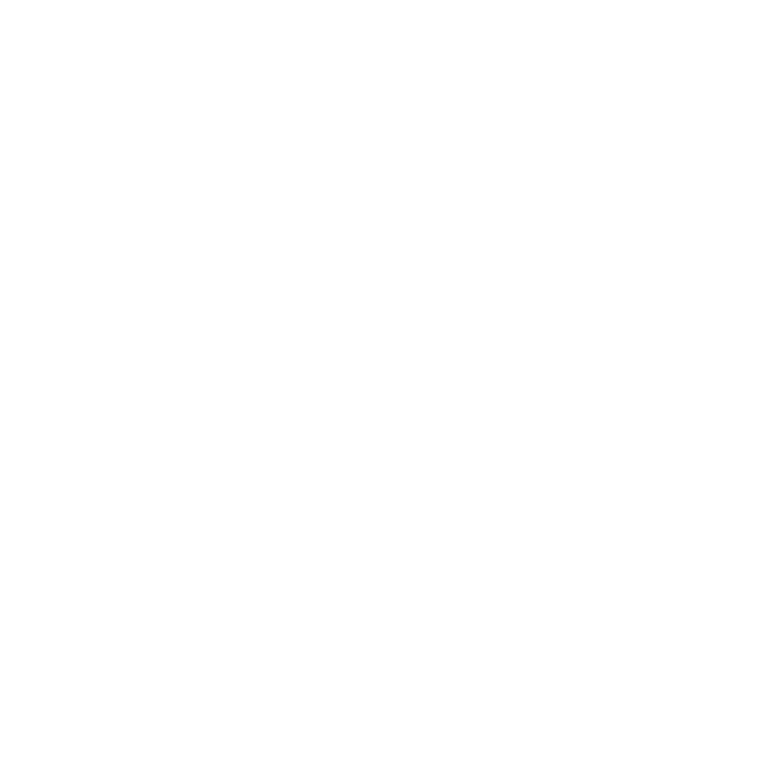 Logo V4