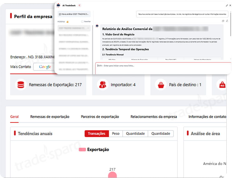 Perfil da empresa e relatório de análise