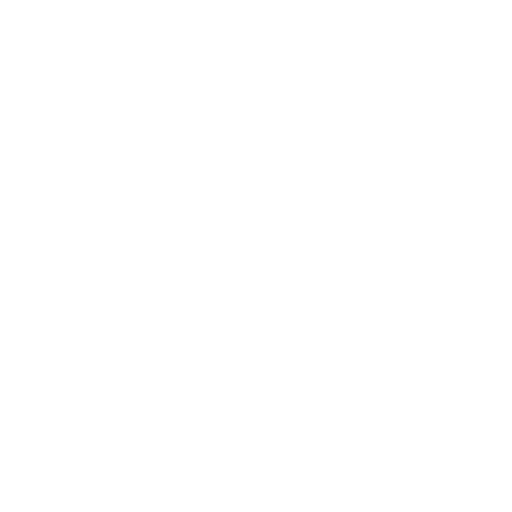 Patrocinador 11
