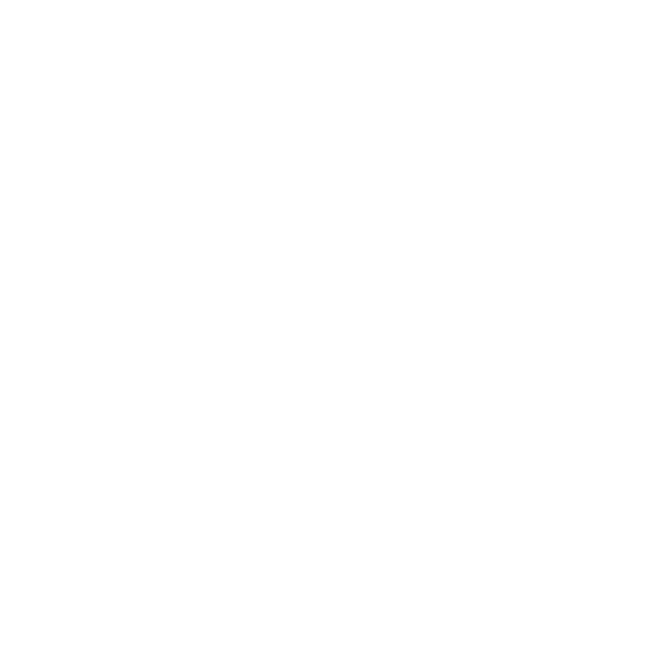 Expert Icon