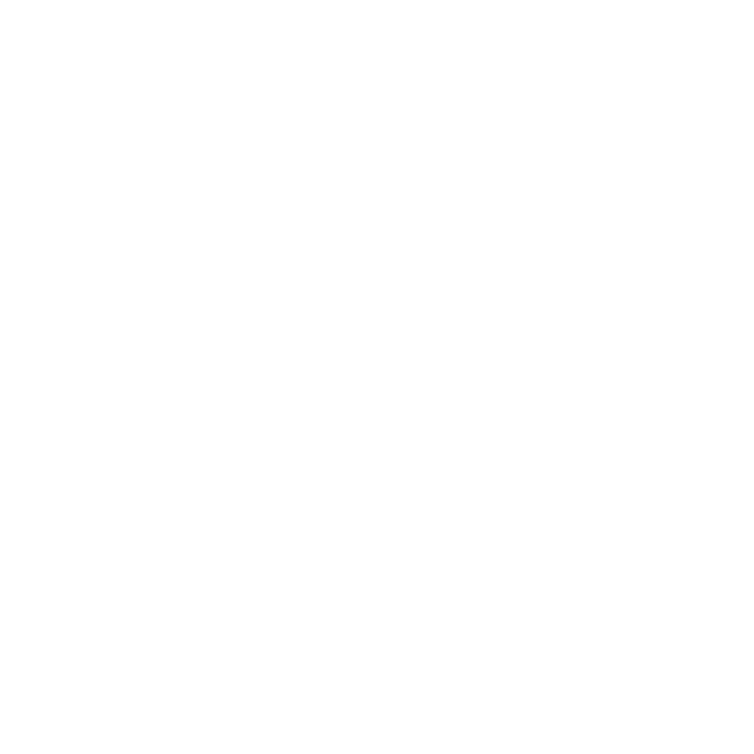 Business Icon