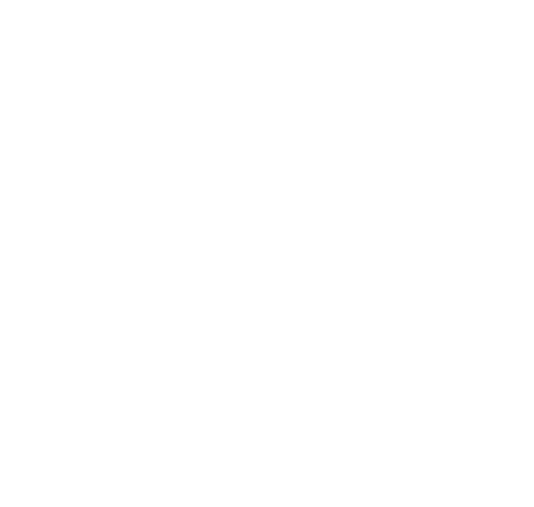 Connect Icon