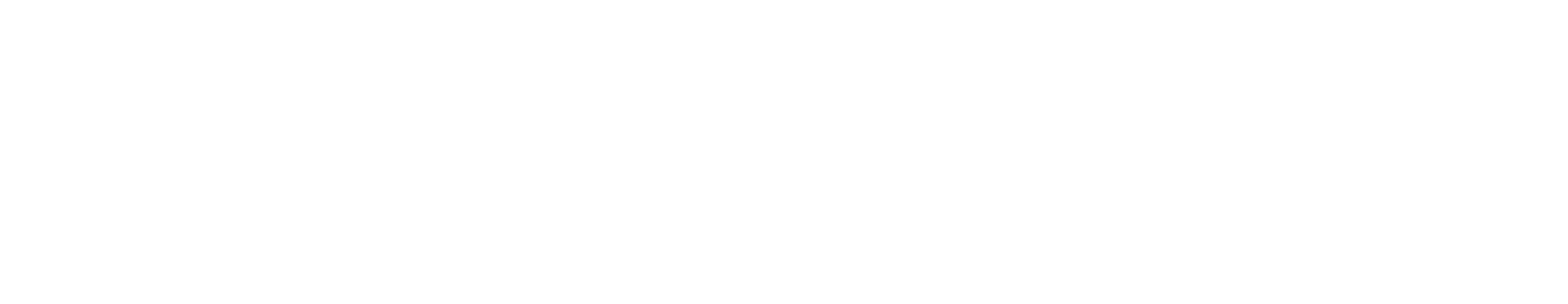 Maxipas