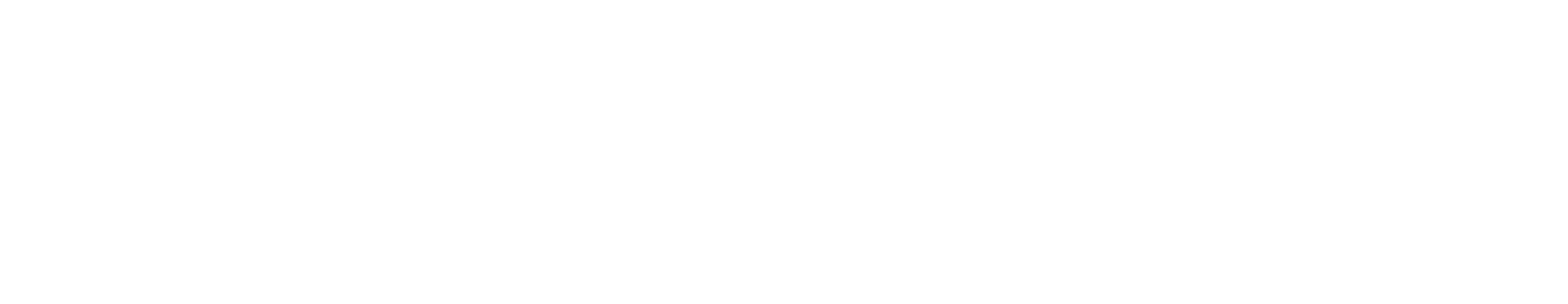 Maxipas