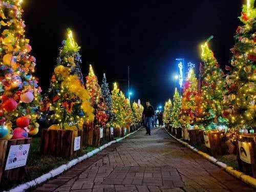 Cidades do interior de São Paulo investem em decorações natalinas