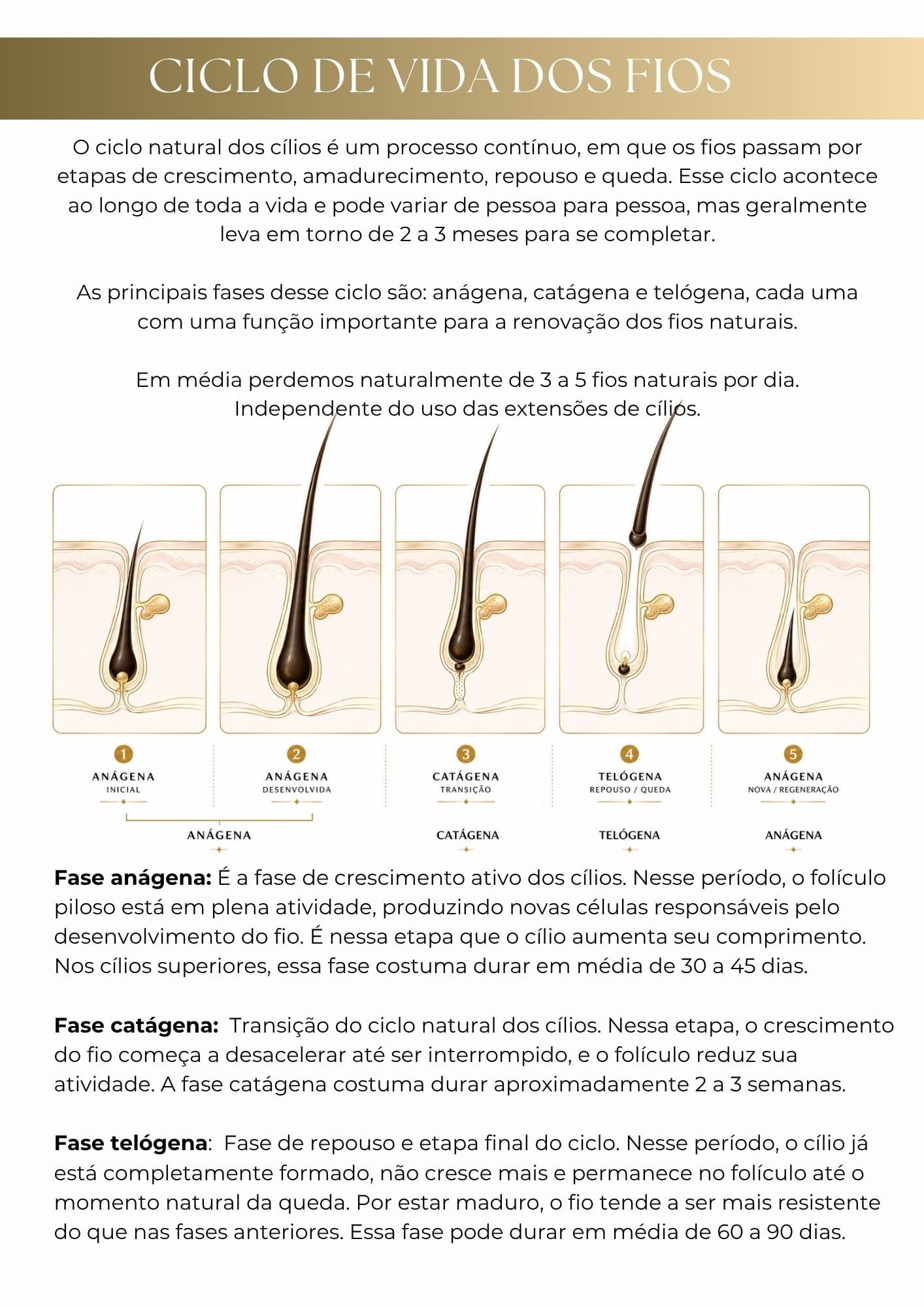 Página interna da apostila