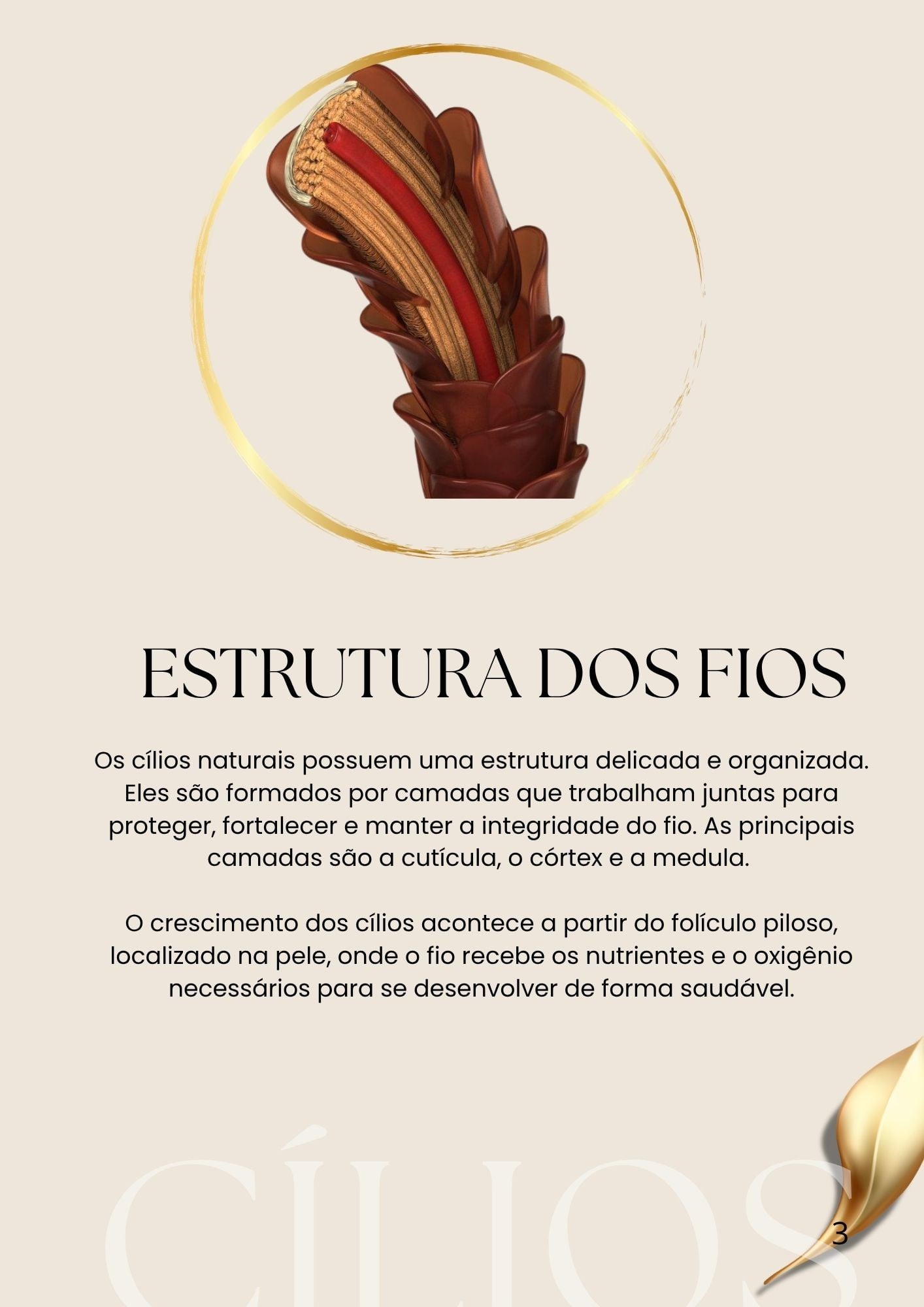 Apostila página 02