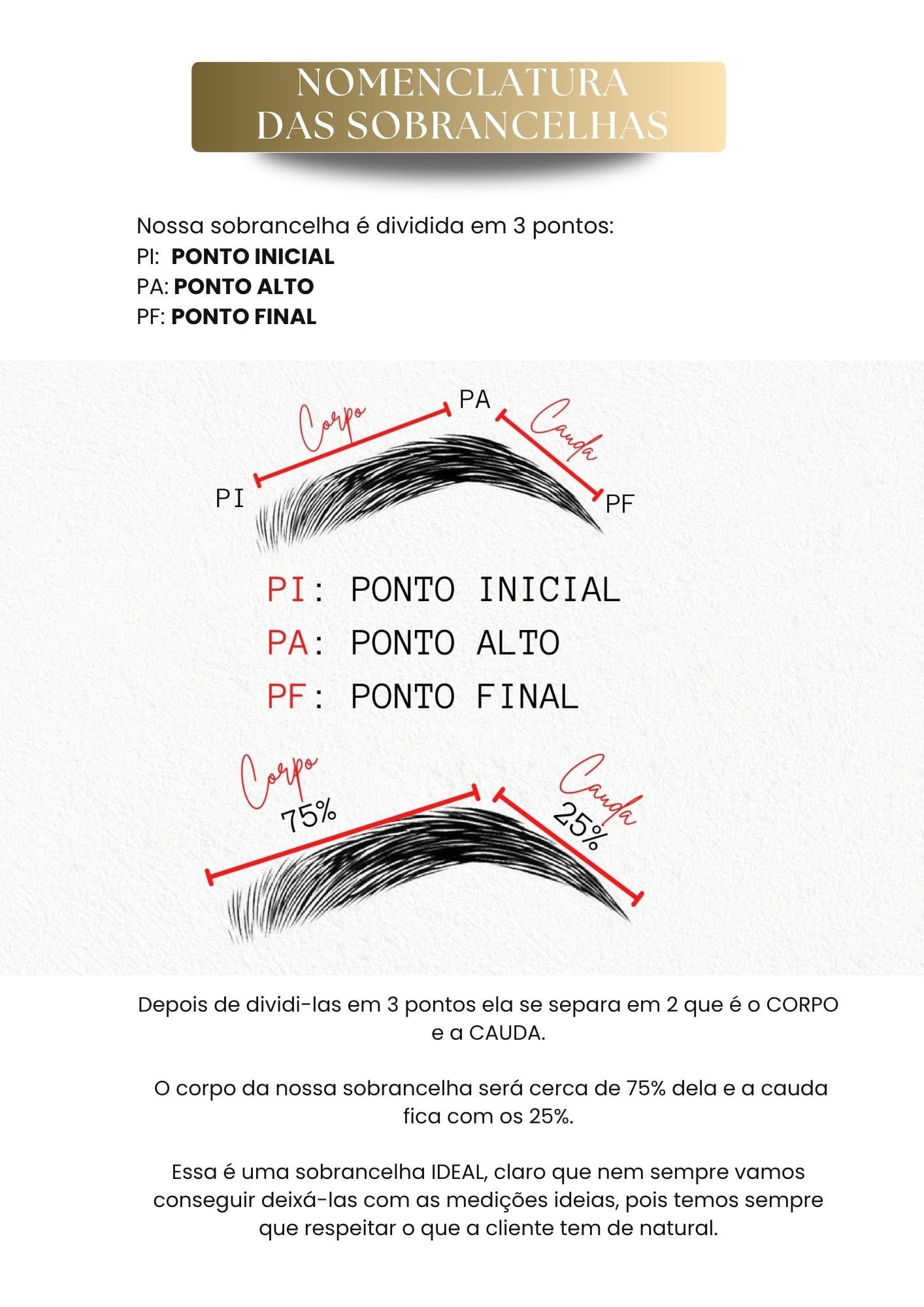 Apostila — Pág 02