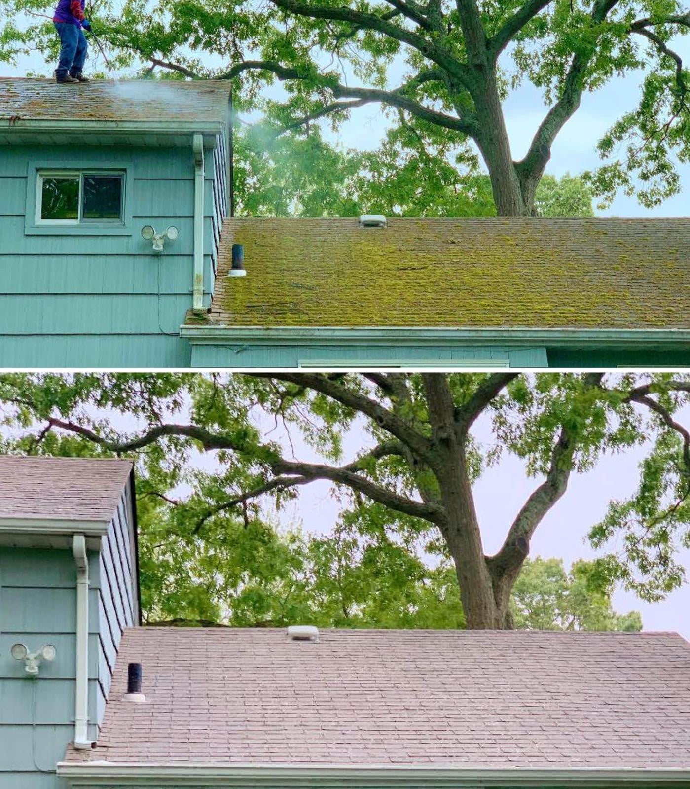 Roof before and after moss removal and gutter cleaning