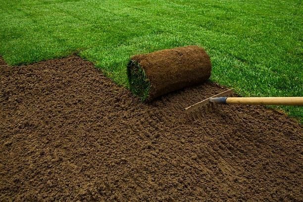 Roll of fresh sod being installed on prepared soil