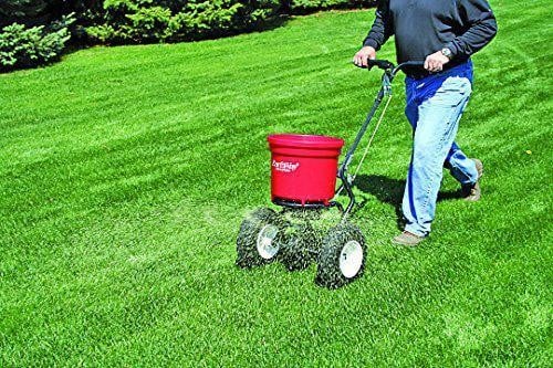 Fertilizer being spread on a healthy green lawn