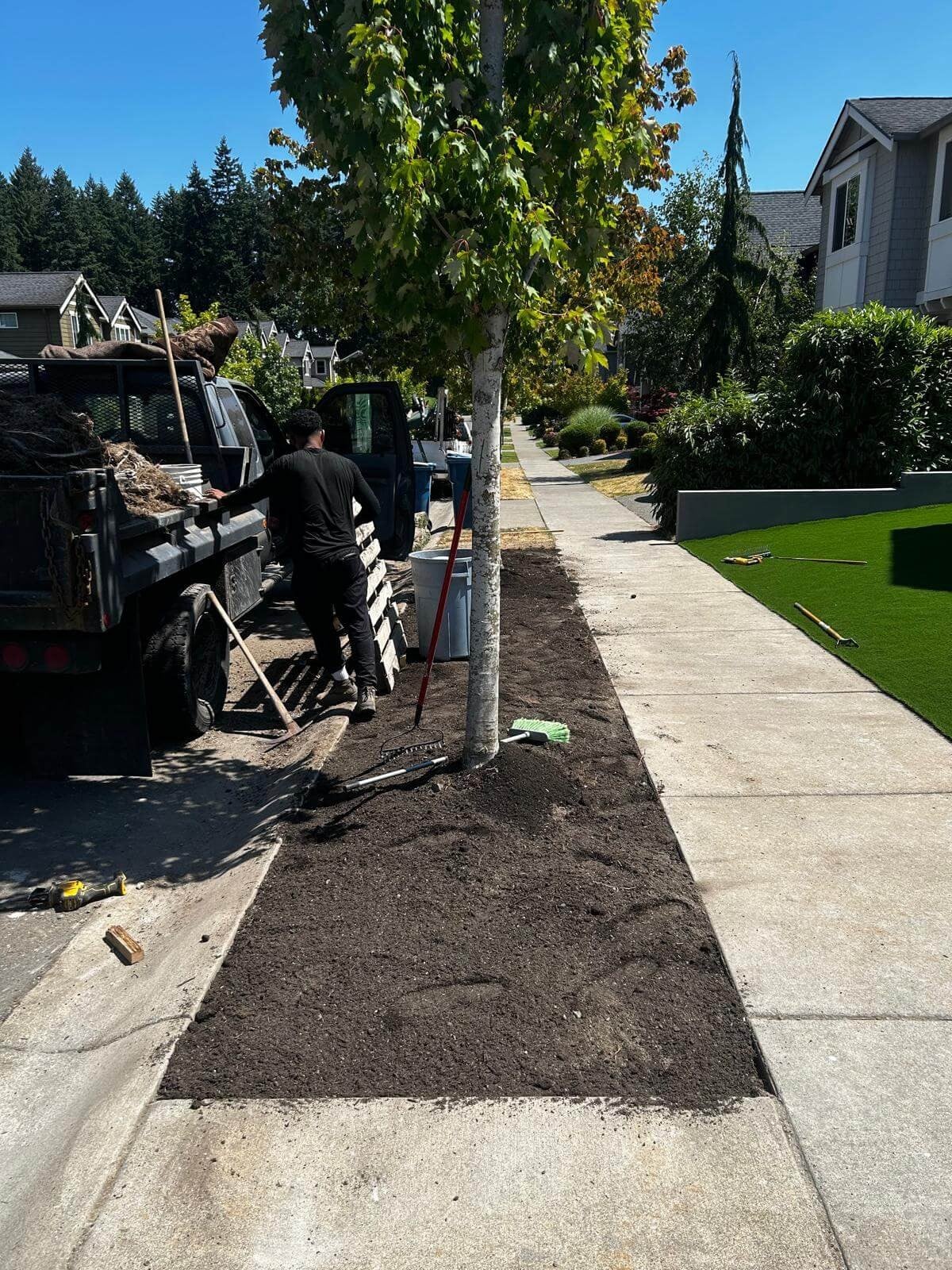 Fresh mulch bed installed along a sidewalk