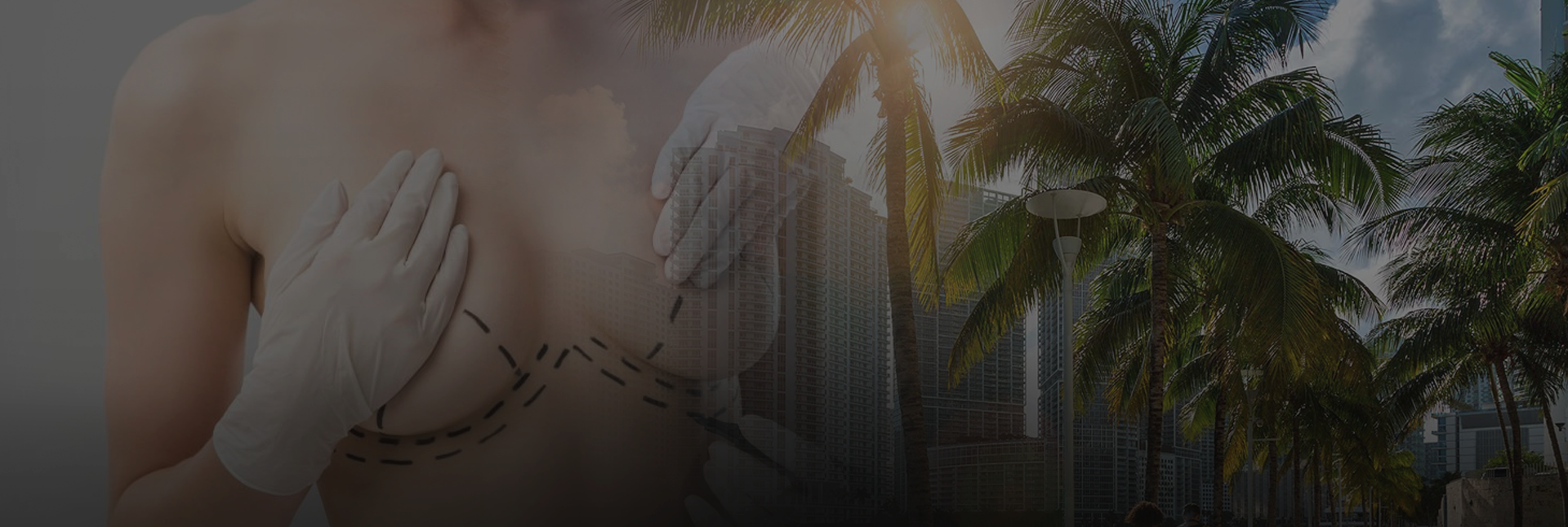 Palm trees and skyline in Miami, Florida