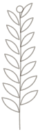 Svg