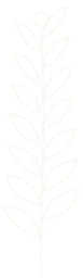 Svg