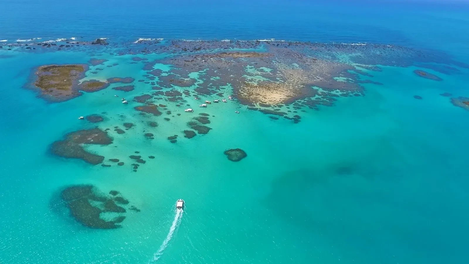 Passeio à Maragogi