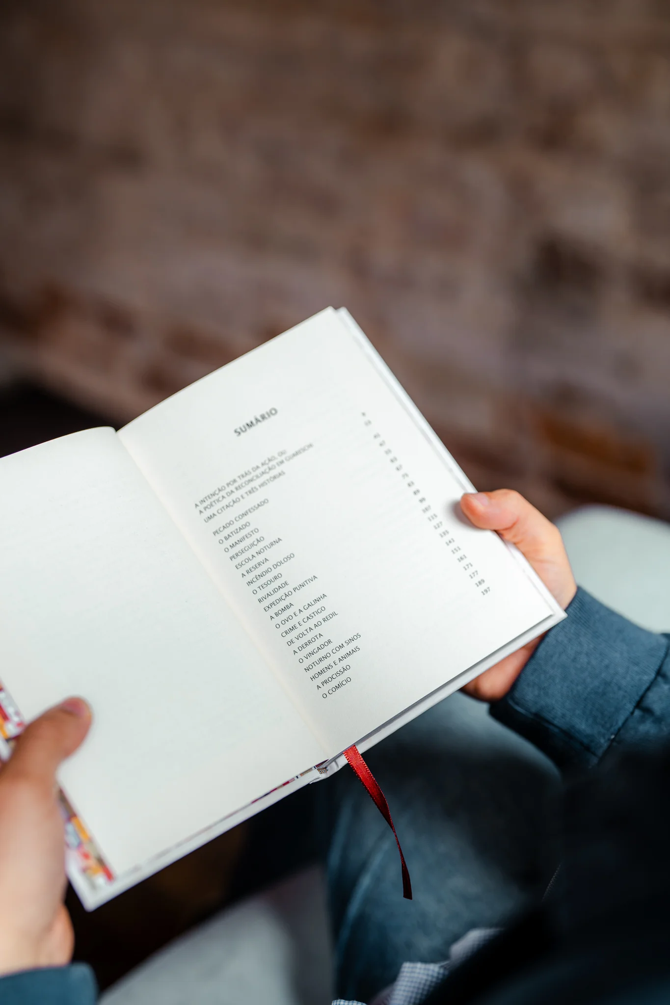 O Pequeno Mundo de Dom Camilo, livro em pé