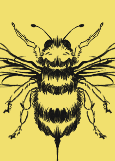Mrs. Bee