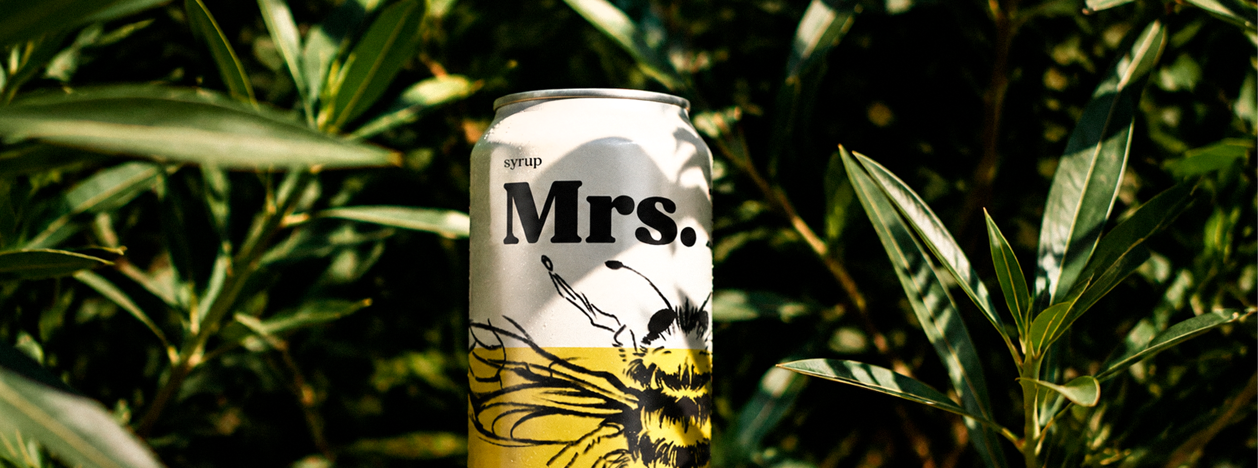 Mrs. Bee — destaque