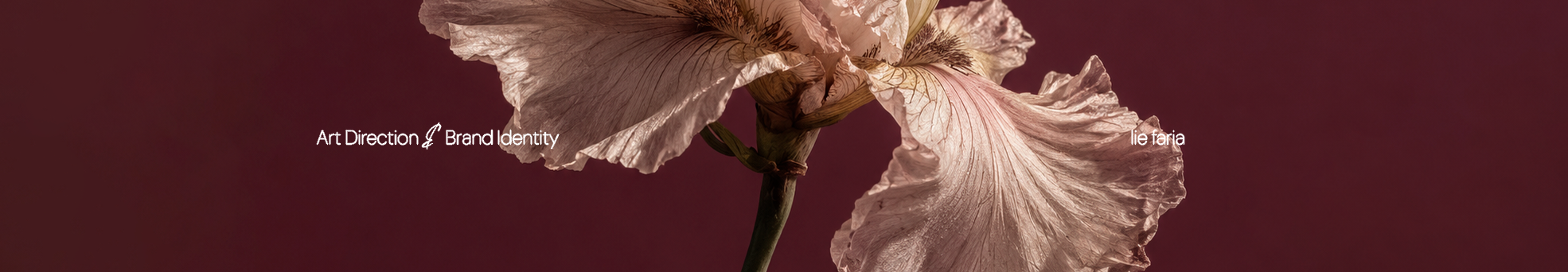 Drôle — íris sobre fundo bordô, Art Direction e Brand Identity