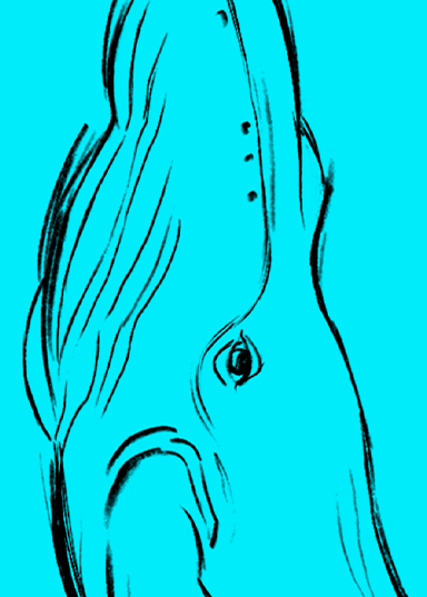 Mrs. Whale