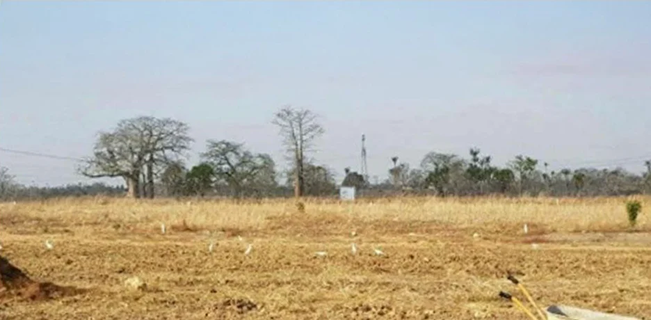 A área no primeiro dia do Desafio