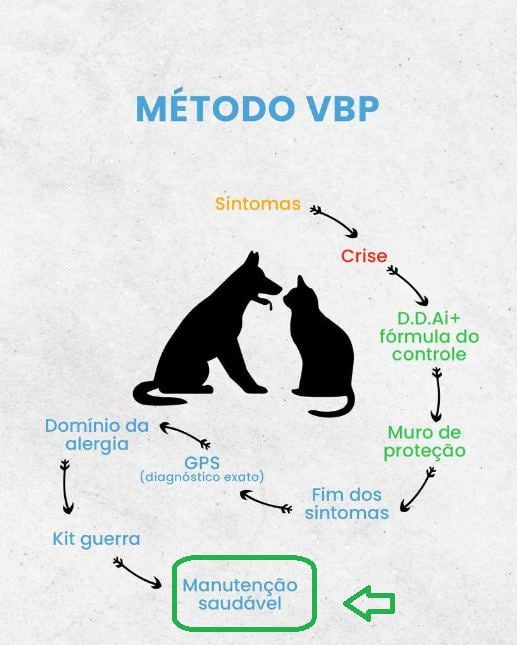 Método VBP até a manutenção saudável