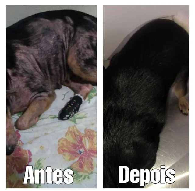 Queda de pelo