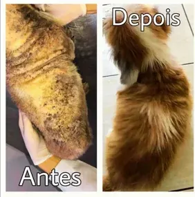 Pele grossa e com crostas