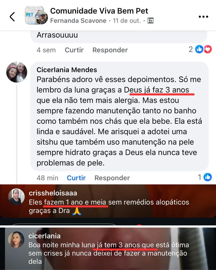 Relatos de tutores
