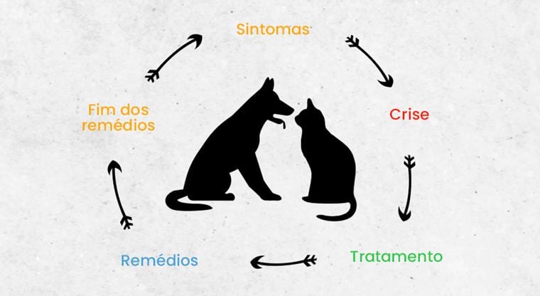 O ciclo: sintomas, crise, tratamento, remédios, fim dos remédios