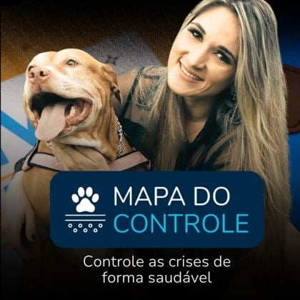 Mapa do Controle