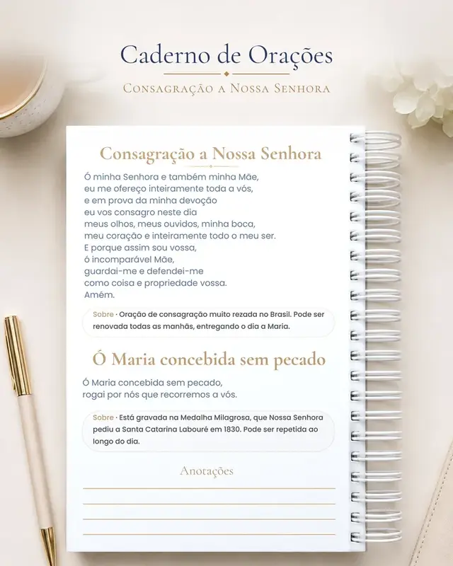 Página Consagração a Nossa Senhora