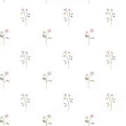 Guarda 7