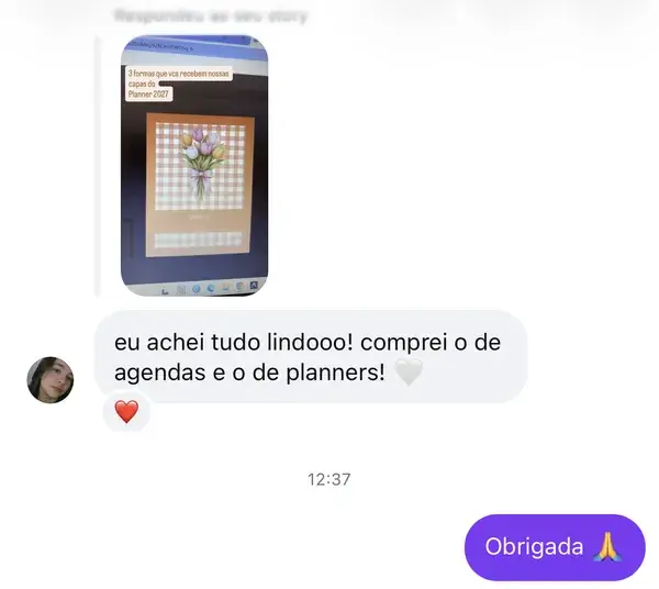 Mensagem: eu achei tudo lindooo! comprei o de agendas e o de planners!