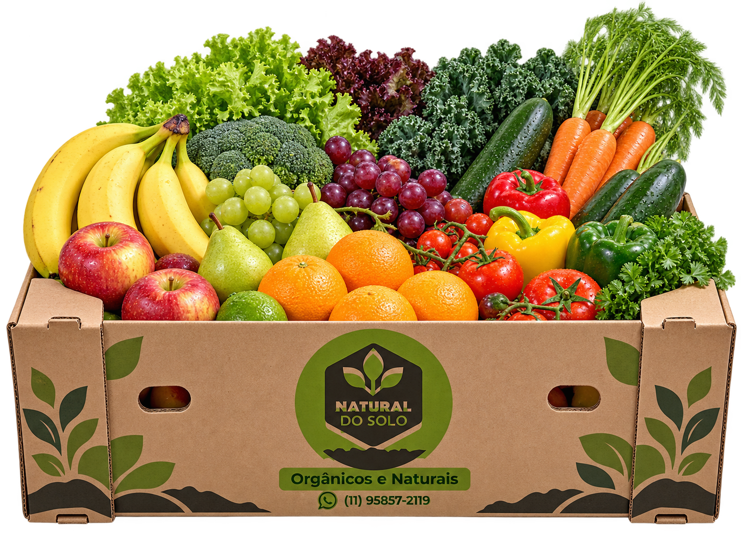Caixa de Frutas