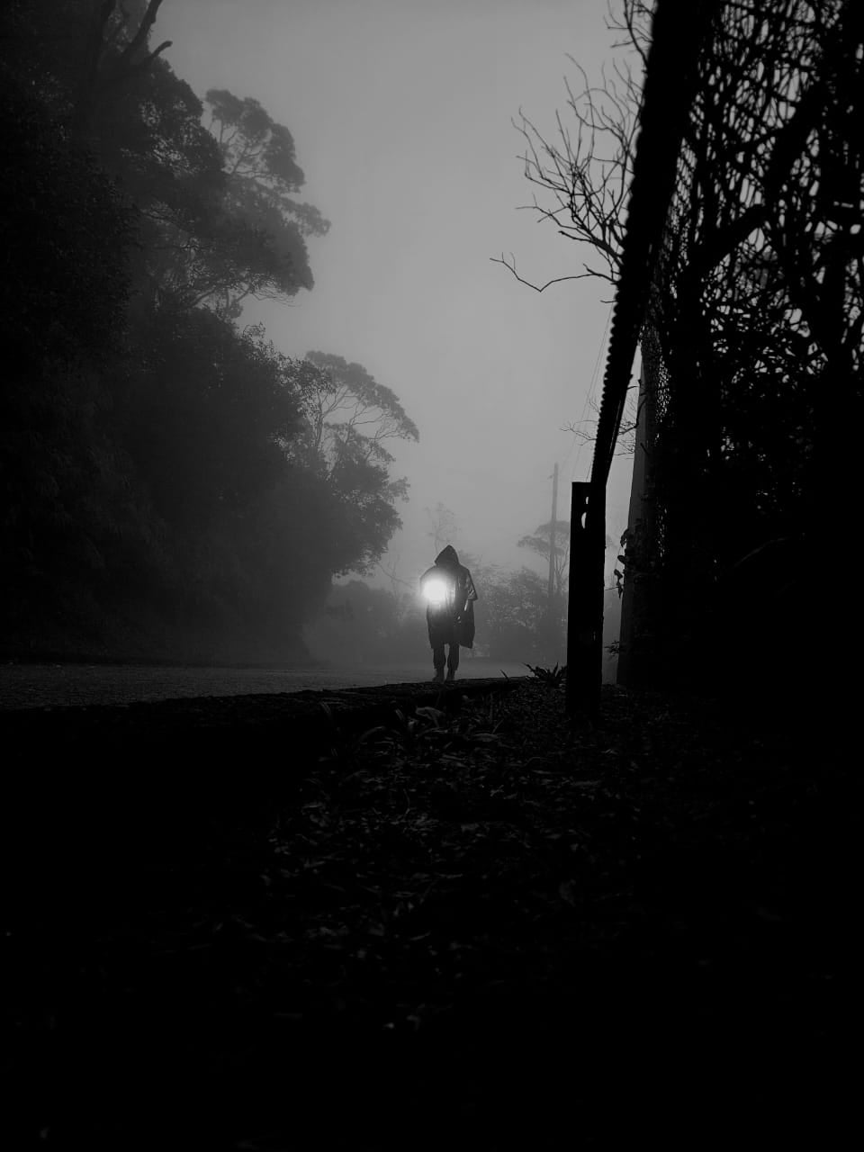 O Vigilante na neblina