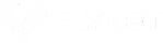 Flynet — A internet que voa