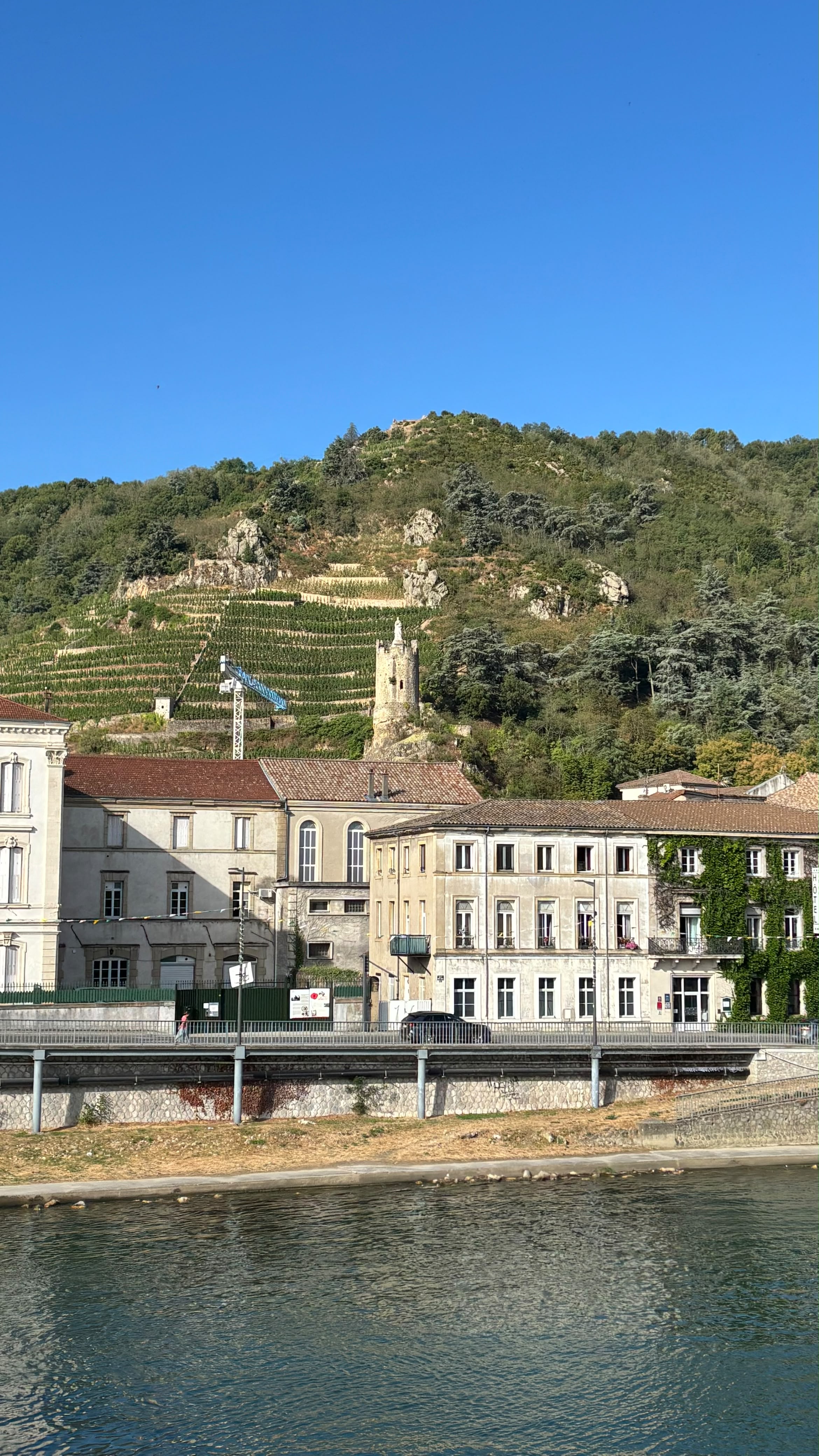 Vinhedos nas colinas de Tournon