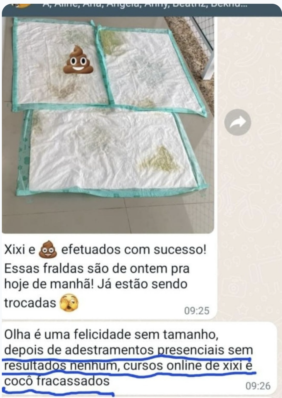 Aluna: depois da segunda aula, o Oliver de 3 meses fez cocô no lugar certo.
