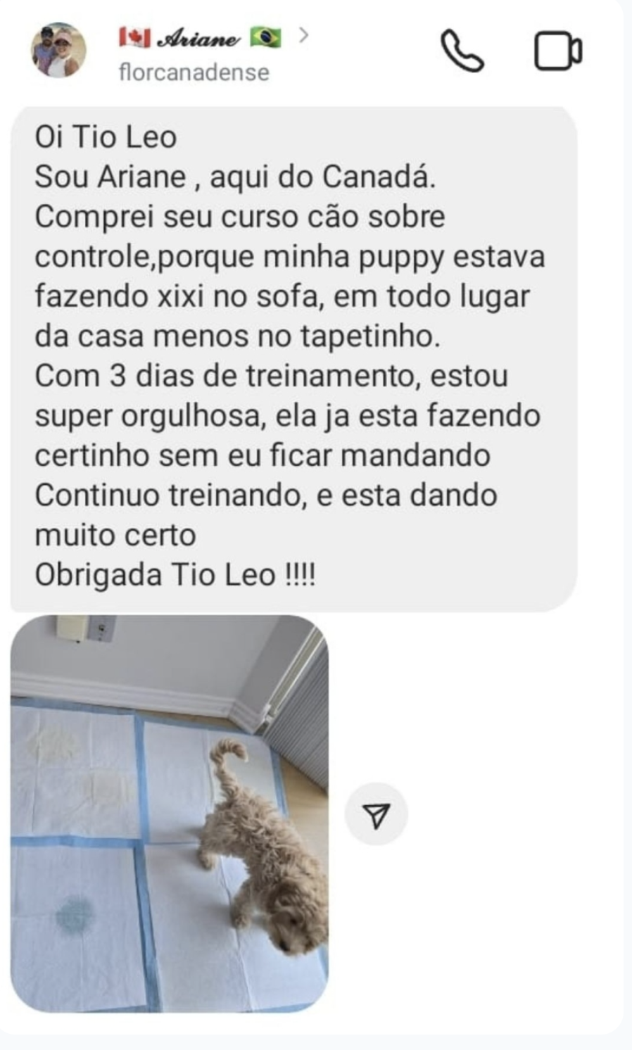 Aluna: segundo dia de treinamento, fez dois xixis e um cocô no lugar. Melhor investimento que eu fiz.