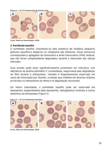 Página do guia com imagens de lâmina