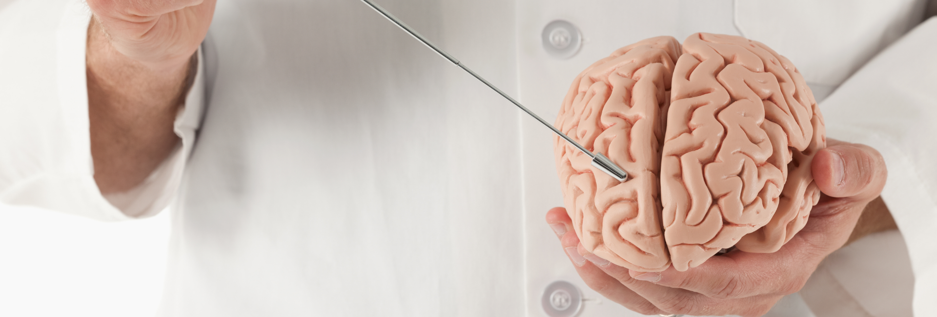 Neuroimunologia