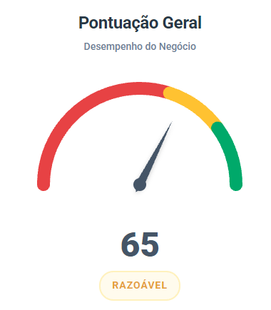 Pontuação geral atual de 65 pontos, classificada como razoável