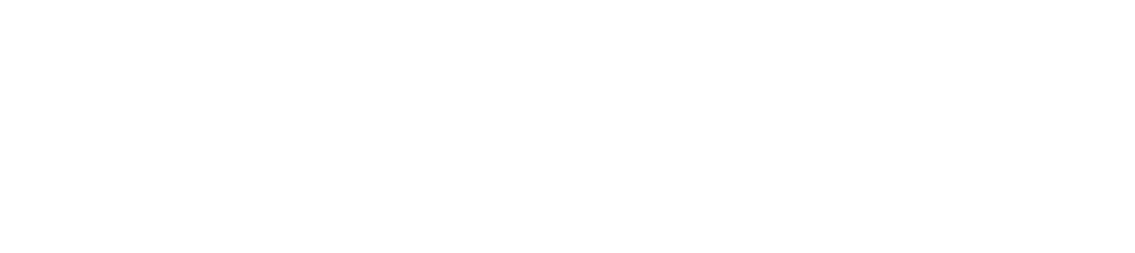 Zucchetti