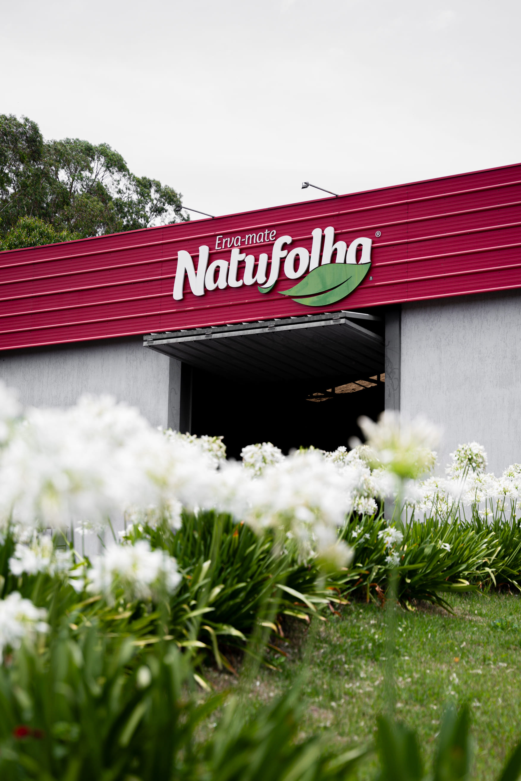 Natufolha Imagem 2